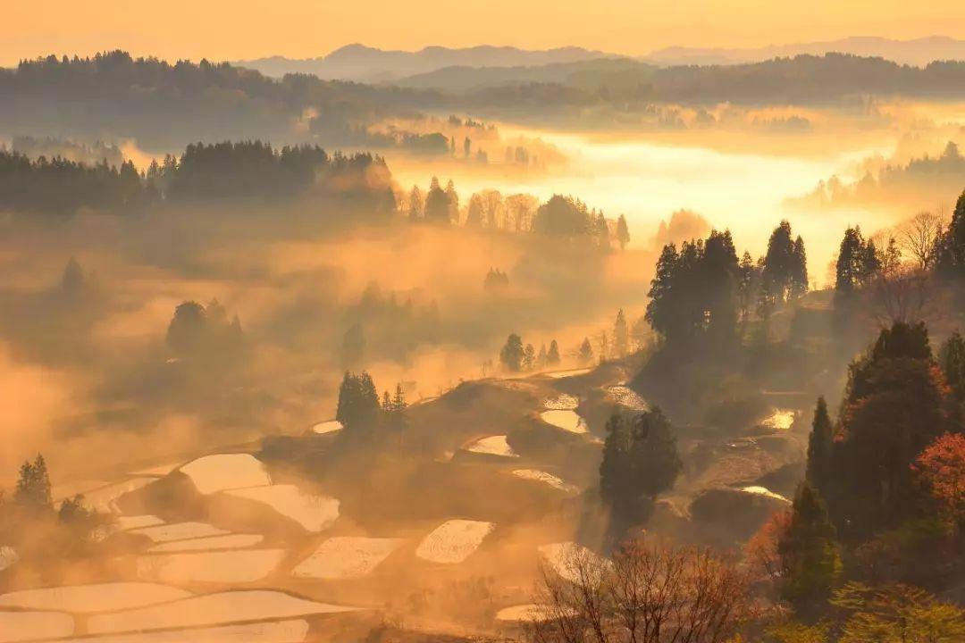 如何说服老公交出财政大权？游戏画面