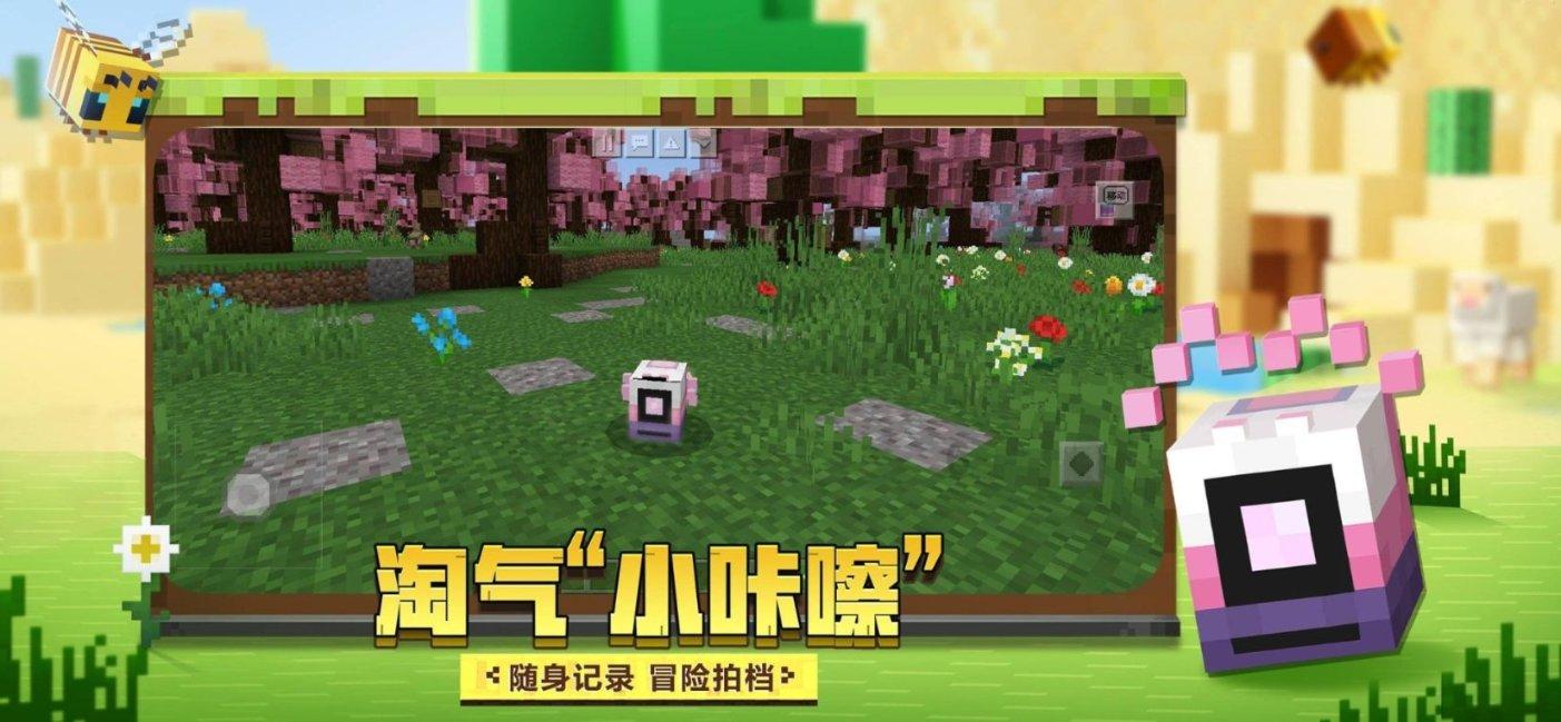 我的世界羽毛球