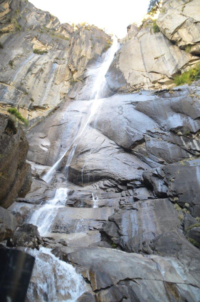 四川乐山：打造“峨眉山茶”特色产业名片